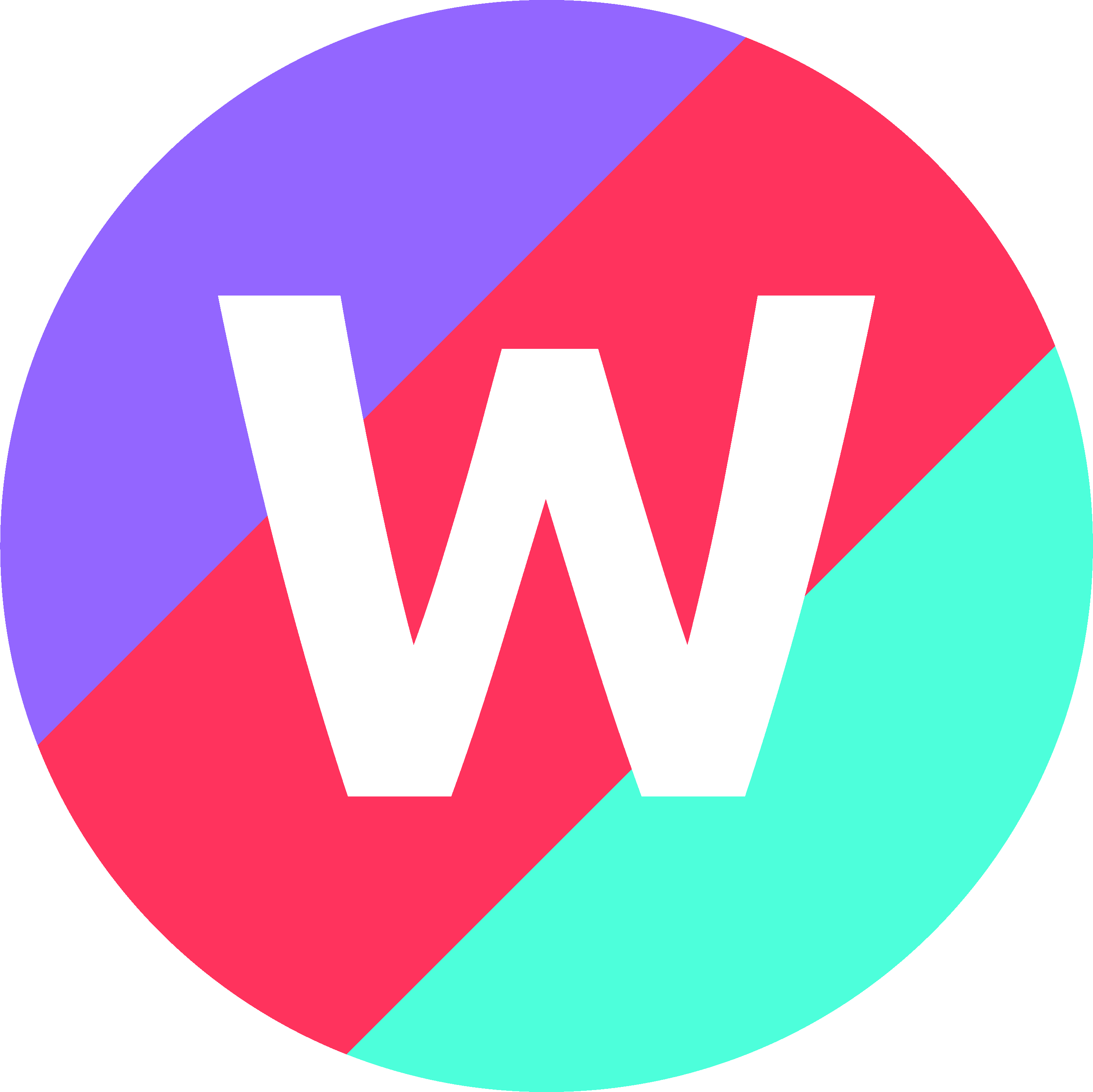wiseshot-logo